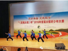 正雷太极书院雏鹰班代表队参加《武魂·太极》杯2016年首届太极好少年