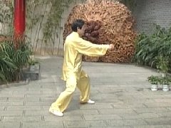 陈正雷老师老架二路教学第十三式：掩手肱拳